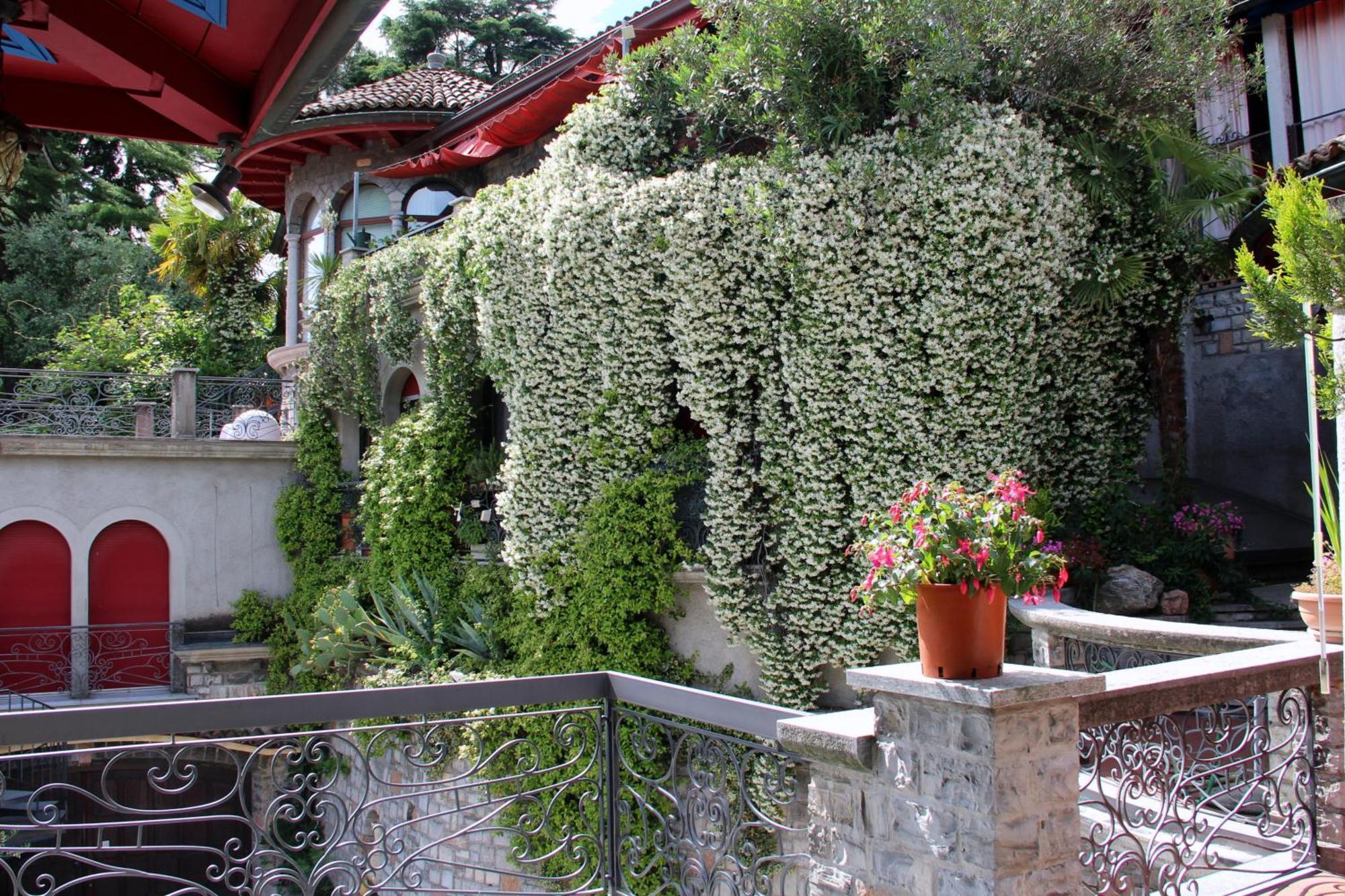 Barony Le Pergole Holiday Apartments לוגאנו מראה חיצוני תמונה