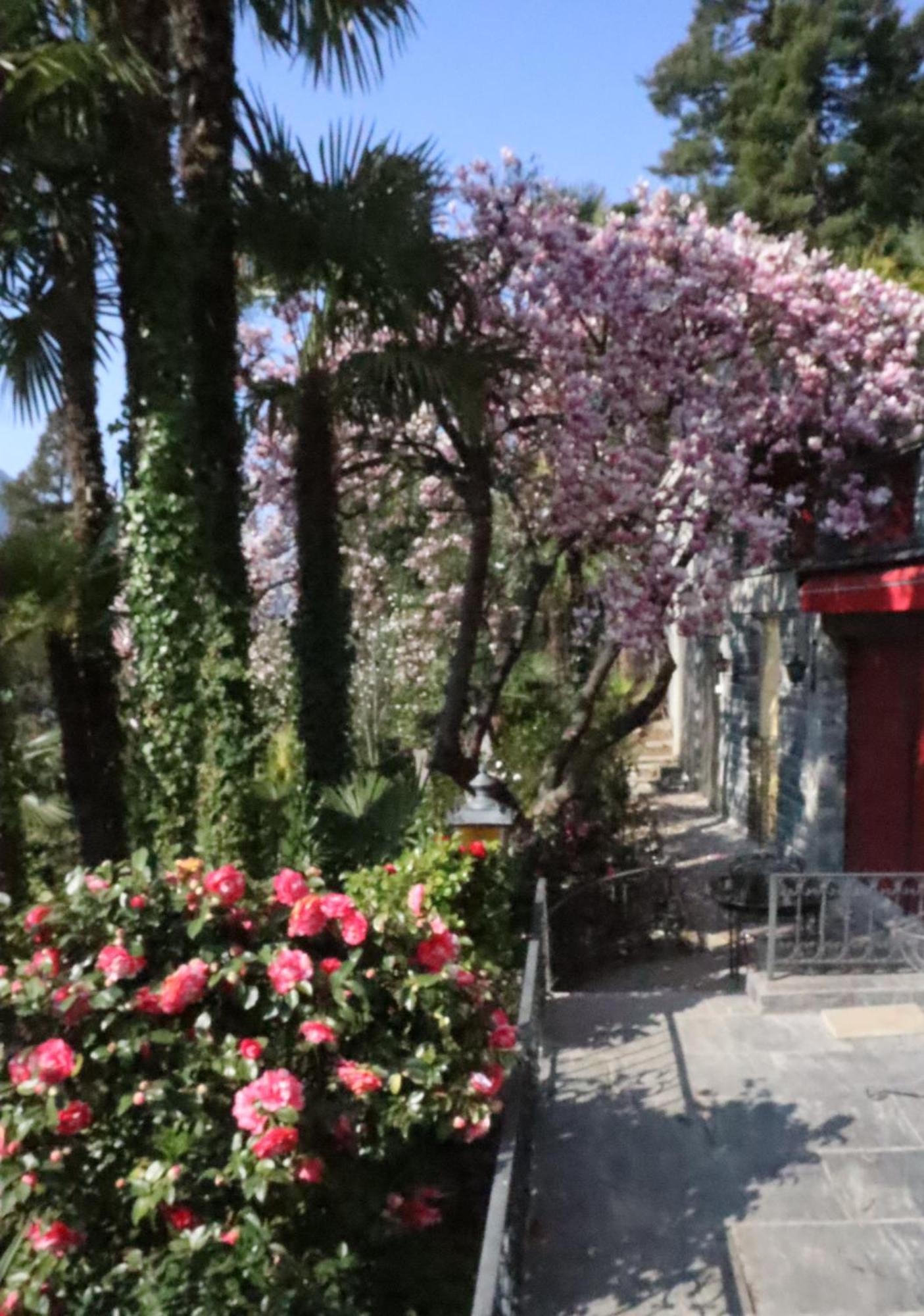 Barony Le Pergole Holiday Apartments לוגאנו מראה חיצוני תמונה